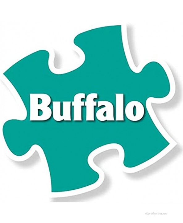 Buffalo Games Darrell Bush Canoe Lake 1000 Piece Jigsaw Puzzle