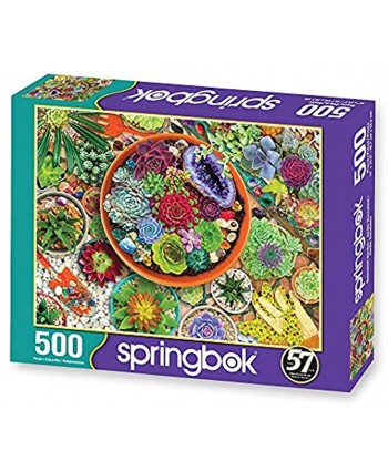 Springbok 500 Piece Jigsaw Puzzle Succulent Garden Made in USA
