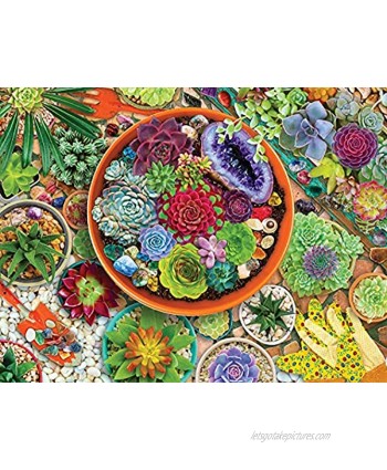Springbok 500 Piece Jigsaw Puzzle Succulent Garden Made in USA
