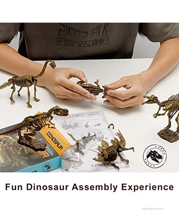 6 Pcs Dinosaur Skeletons Assembly Dinosaur Toys for Boys and Girls 3D Puzzle Dinosaur Model for Kids Age 6+ Dinosaur Gift Festival Gift Dinosaur Theme Party Birthday Gift
