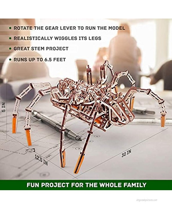Wood Trick Mechanical Spider 3D Wooden Puzzle Runs up to 7 feet Wooden Model Kit for Adults and Kids to Build