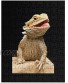 Bearded Dragon Lizards Puzzles for Adults Kids 108 Pieces Christmas Toy Gifts Jigsaw Game