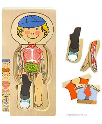 Kidzlane Wooden Human Body Puzzle for Kids and Toddlers | 29 Piece Boys Anatomy Play Set | Skeleton Toy for Ages 3+