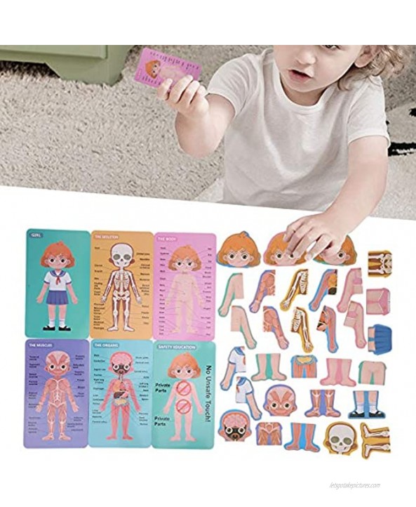 Body Knowledge Card Children Wooden Human Body Organ Structure Cognition Matching Game for Learning Human Body PartsGirl Body Structure Puzzle