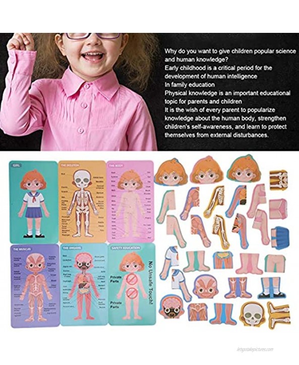 Body Knowledge Card Children Wooden Human Body Organ Structure Cognition Matching Game for Learning Human Body PartsGirl Body Structure Puzzle