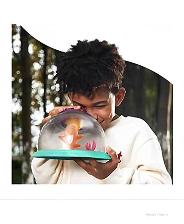 NC Children's Small Animal Observation Box Multifunctional Biological Set can use Magnifying Glass to Observe Outdoor Habitat kit Suitable for Children Over 4 Years Old