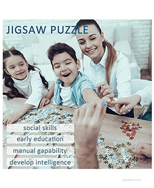 European Scenic Series Jigsaw Puzzles Adult Children Educational Decompression DIY Toys 500 1000 1500 2000 3000 4000 5000 6000 Pieces 0109 Color : Partition Size : 2000 Pieces