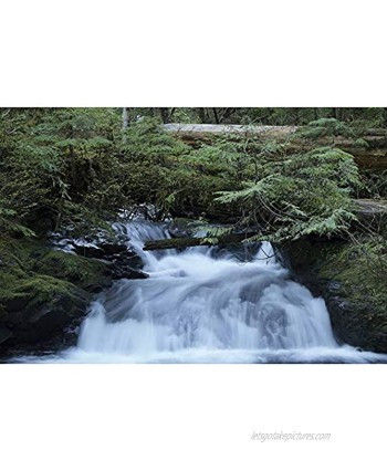 Jigsaw Puzzles Waterfall in The Forest Personalized Gift Artwork Intellective Educational Toy 500 1000 1500 2000 3000 4000 5000 6000 Pieces 0305 Color : Partition Size : 4000 Pieces