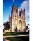 Washington National Cathedral Jigsaw Puzzles Adults Kids Leisure Creative Puzzle Games Toys 500 1000 1500 2000 3000 4000 5000 6000 Pieces 1229 Color : Partition Size : 3000 Pieces