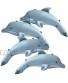 Jet Creations Inflatable Animals Dolphin 20" Long Best for Party Pool Supplies Favors Gifts for Kids & Adults an-DOL4 Multi