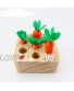 GoryeoBaby Wooden Toys 1-Year-Old boy and Girl Enlightenment Education Classification Puzzle Carrot Harvest Development Gift fine Motor Skills Harvest Carrot Game