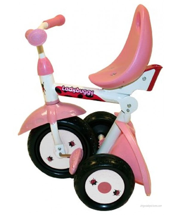 Kiddi-o by Kettler Fold 'n Ride Trike with Adjustable Seat: LadyBuggy Youth Ages 1.5+