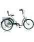 PFIFF Adult Tricycle 3 Models to Choose From